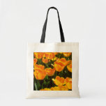 Fleurs oranges de tulipes sacs