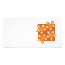 Fleurs oranges tropicales sur le blanc photocartes