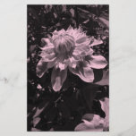 Fleurs roses. Clématite. Conception élégante Prospectus