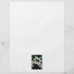 Fleurs roses. Clématite. Sur le blanc Prospectus