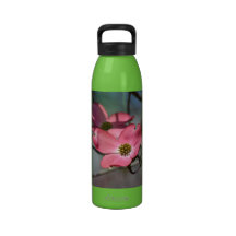 Fleurs roses de cornouiller bouteille