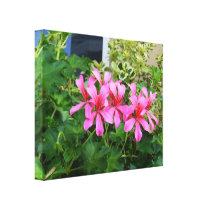 Fleurs roses impressions sur toile