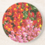 Fleurs rouges de mufliers dessous de verre