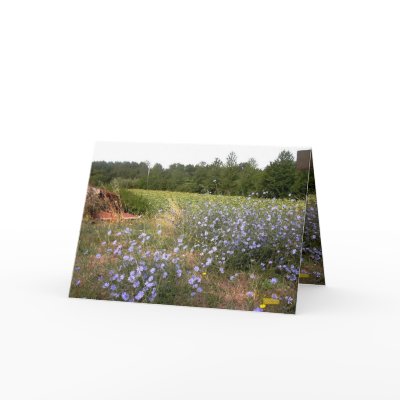 Fleurs Sauvages Greeting Card by Riviere