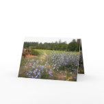 Fleurs Sauvages cards
