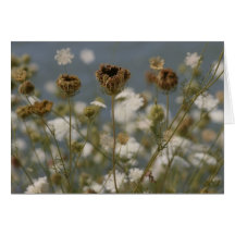Fleurs sauvages carte de vœux