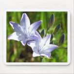 Fleurs tapis de souris
