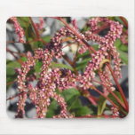 Fleurs Tapis De Souris