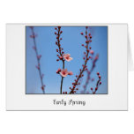 Fleurs tôt de ressort carte de vœux