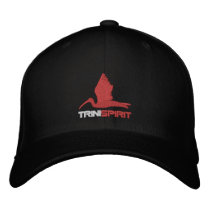 Flexifit Embroidered Baseball Caps