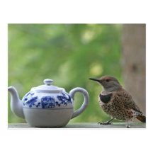 Flicker and Teapot Post Cards
