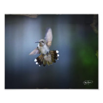 Flight of the Angel Photo