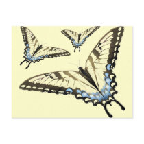 Flight of the Butterfly Postcard