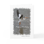 Flight of the Pelican Greeting Cards