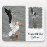 Flight of the Pelican Mousepads