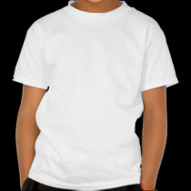 Flight of the Phoenix t-shirts