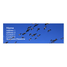 Flight of the Wild Geese | Business Cards