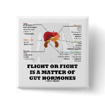 Flight Or Fight Is A Matter Of Gut Hormones