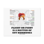 Flight Or Fight Is A Matter Of Gut Hormones