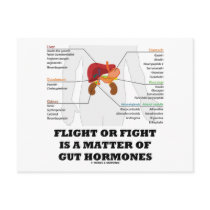 Flight Or Fight Is A Matter Of Gut Hormones