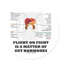 Flight Or Fight Is A Matter Of Gut Hormones