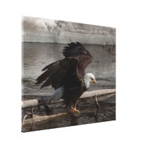 Flight Preparations Canvas Print