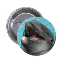 Flipper Button