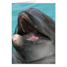 Flipper Card