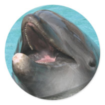 Flipper Sticker