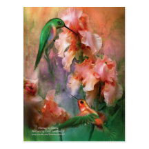 Flirting So Sweetly Postcard