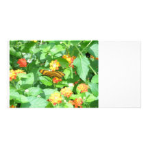 Flit on Over Picture Card