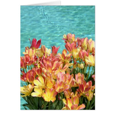 Floating Flowers by FloralPhotos