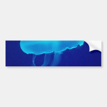 Floating Jellyfish Bumper Sticker