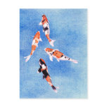 Floating Koi blue Postcard