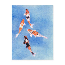 Floating Koi blue Postcard