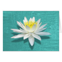 Floating Lily on Aquamarine Card