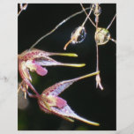 floating orchids full color flyer