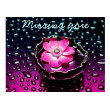 Floating Pink Flower Postcard