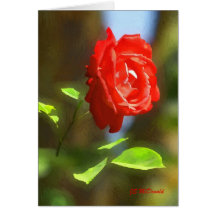 Floating Red Rose OP Greeting Card