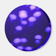 floating refrigerator magnet