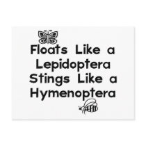 Floats Lepidoptera