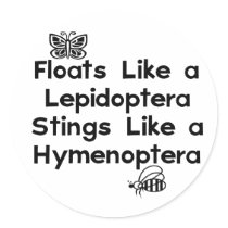 Floats Lepidoptera
