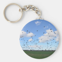 Flock Of Pigeons Key Chains