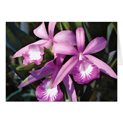 Flock of Purple Orchids by ElainePlesser