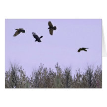Flock of Ravens Card