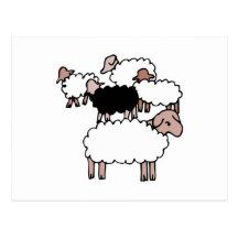 flock of sheep with black sheep postcard