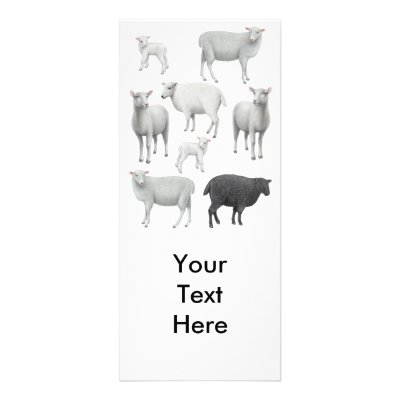Flock with Black Sheep Rack Card by twopurringcats