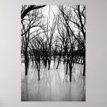 Flood at the Wabash Posters