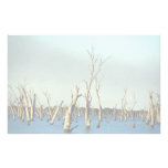 Flooded River Murray for irrigation, Australia Stationery