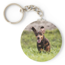 Floppy Dachshund Keychain